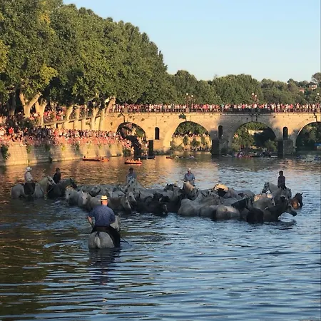 Des Oliviers بيت للعطل Souvignargues